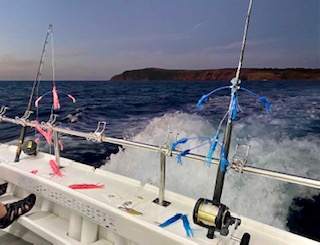 Two fishing rods in rod holders on a fishing boat with the ocean in the background. The two rods are rigged with spreader bars for tuna fishing