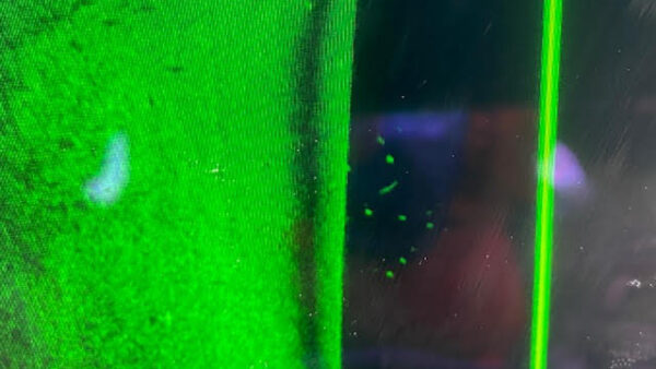 A picture of bream on a fish sounder screen, green structure and bream showing as dot on the graph with a black background