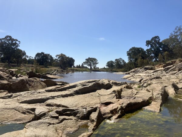 A rock wall in a river depicting ambush spots for golden perch fishing